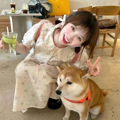 云梦奇缘