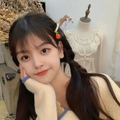 大人物拿破仑